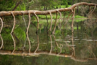 3 Dewey Pond