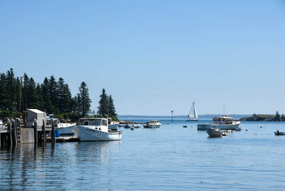 Owls Head