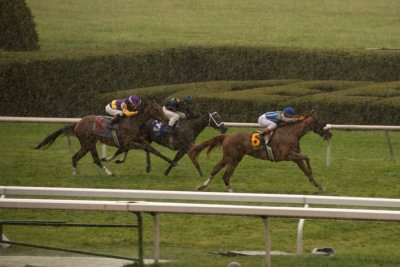 Racing in the rain   2007
