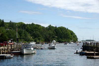 DSC_2329 2.jpg