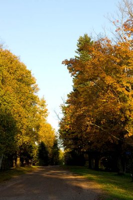 Maple Hill Cemetery
