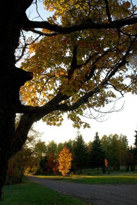 Maple Hill Cemetery