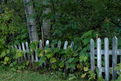 Fence on top of our yard