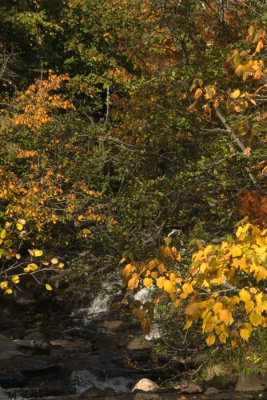 Durfee Creek