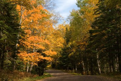 County Rd 14