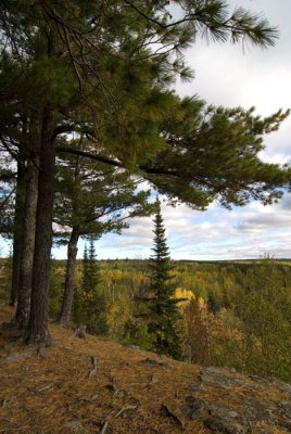 Bloomquist mountain