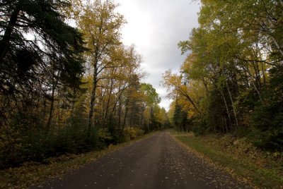 County Rd 14