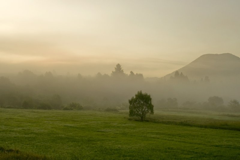 first morning of a different august*