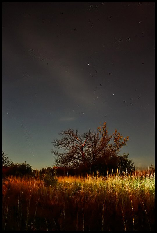 3rd Place<br>at full moon<br>by tomiboi
