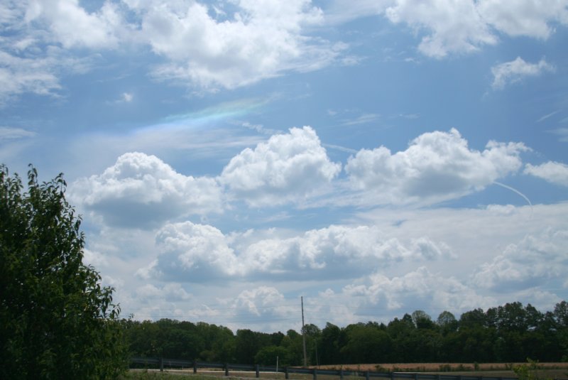 87