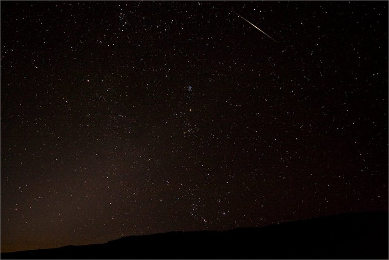 Perseid Meteor?