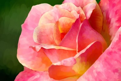 June - Painted Bloom *