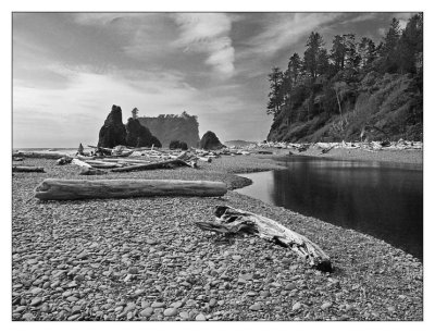 Olympic National Park:  May