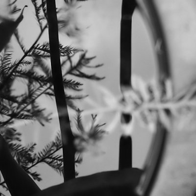 Reflections in a Round Pot