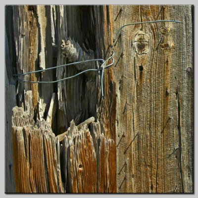 Old Wire 'n Wood