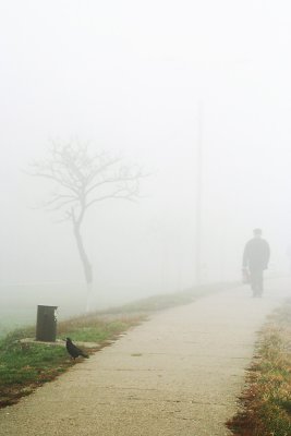 foggy day*