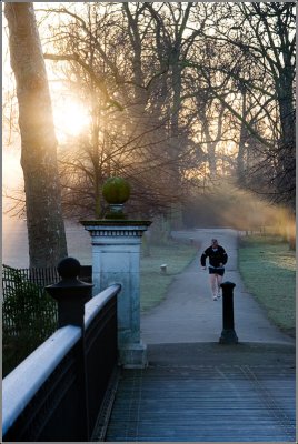 Morning Jogger