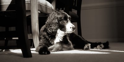 waiting II