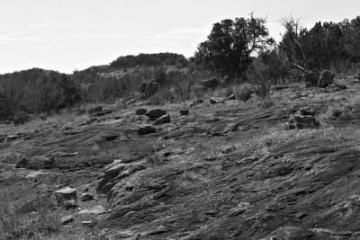Wilderness