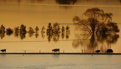 At the Flood