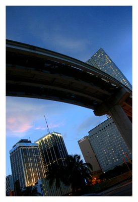 Miami From the Sunroof