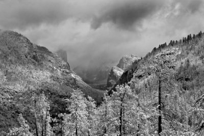 Spring Storm