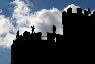 Guardians of the Castle Walls