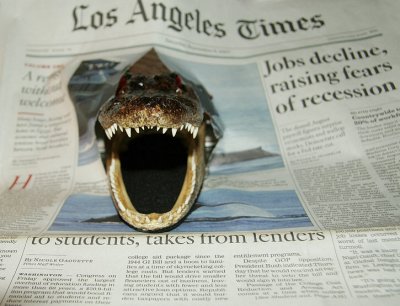 Some Mornings I'm Afraid to Even Open the Paper
