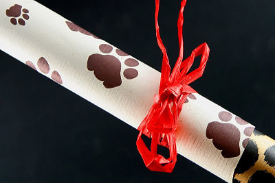 Paper ribbon