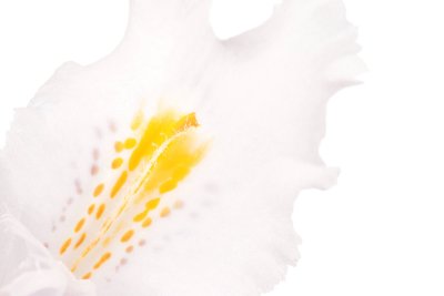 Spring Spots