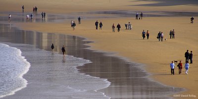 SpottyBeach