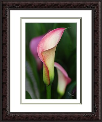 5x7 in image, triple-matted and framed in 8x10