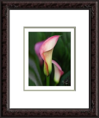 Note Card size image, triple-matted and framed in 8x10