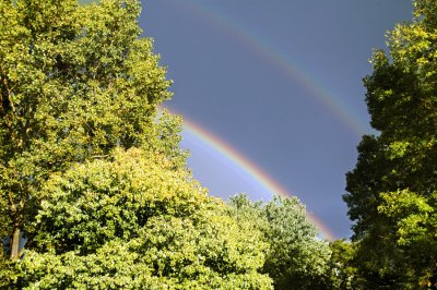 Double Rainbow