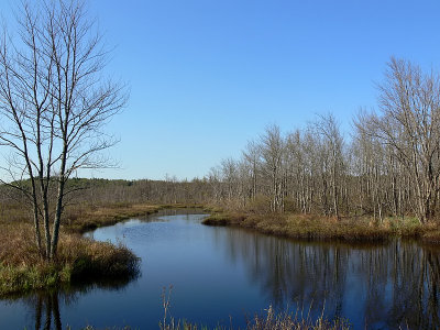 Cridley River 1-spring[=]