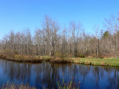 Cridley River 2-spring[=]