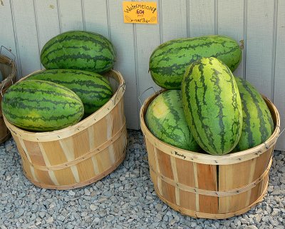 Farm Stand Watermellons