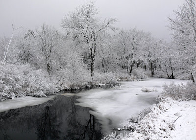 New England March Snowstorm at Cridley River.