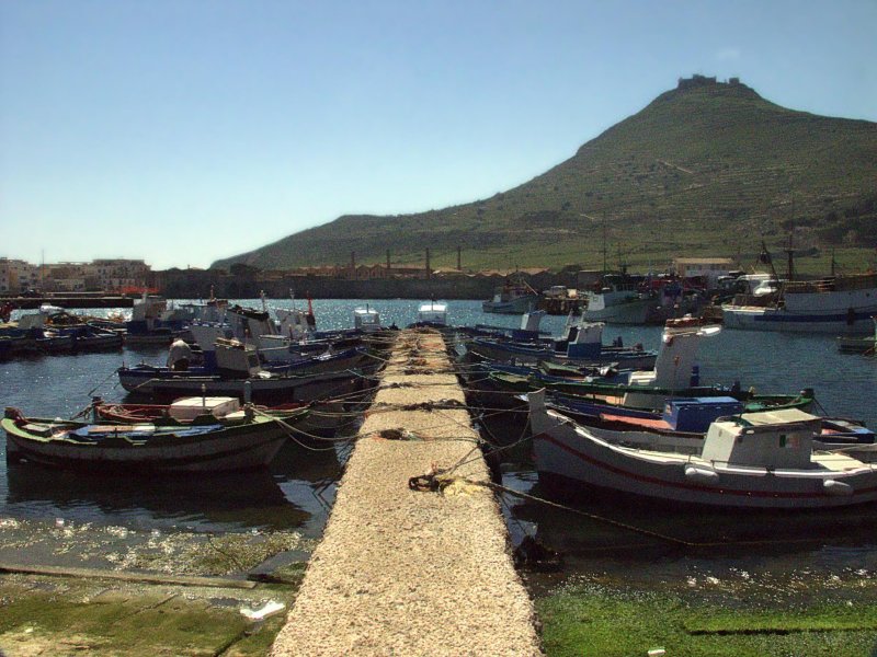 Fishing boats
