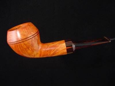 Kompakte Rhodesian mit elegantem Cumberland-Mundstck. (2006)