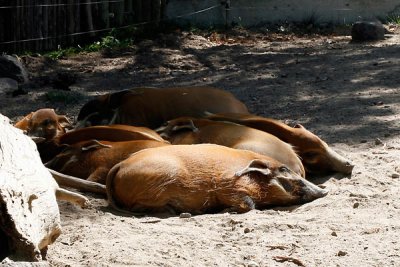 _MG_1428.jpg