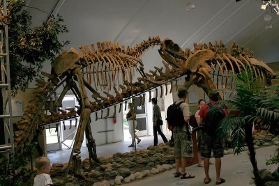 Dinosaur Exhibit Toronto Zoo
