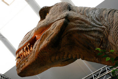 Dinosaur Exhibit Toronto Zoo