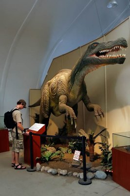 Dinosaur Exhibit Toronto Zoo