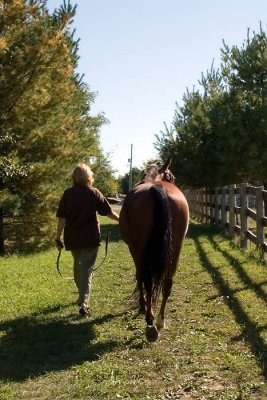 At the Barn