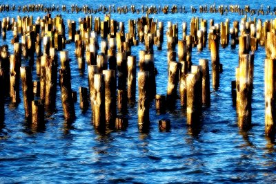 Posts in the Hudson River