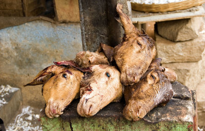 Goats' heads (not for the squeamish)