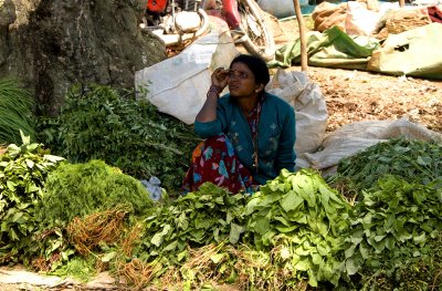 Vegetable seller 2