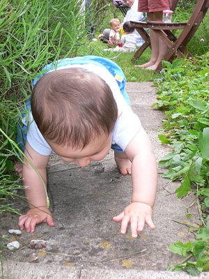 Walking on all fours