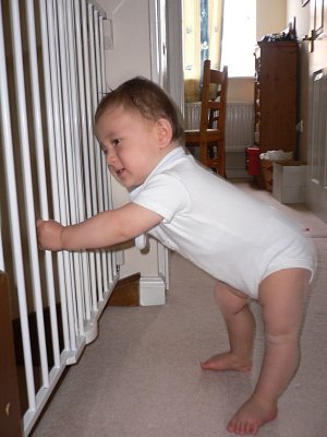 Where's mommy ?